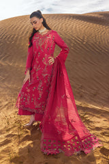 Rang Rasiya Premium'26 D-09 Safa