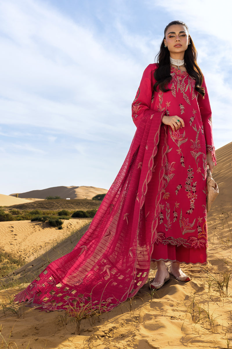 Rang Rasiya Premium'26 D-09 Safa