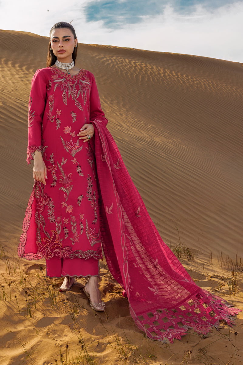 Rang Rasiya Premium'26 D-09 Safa