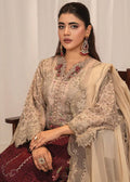 Mehroon 3 piece suit - Mona’s Ally’s — 2