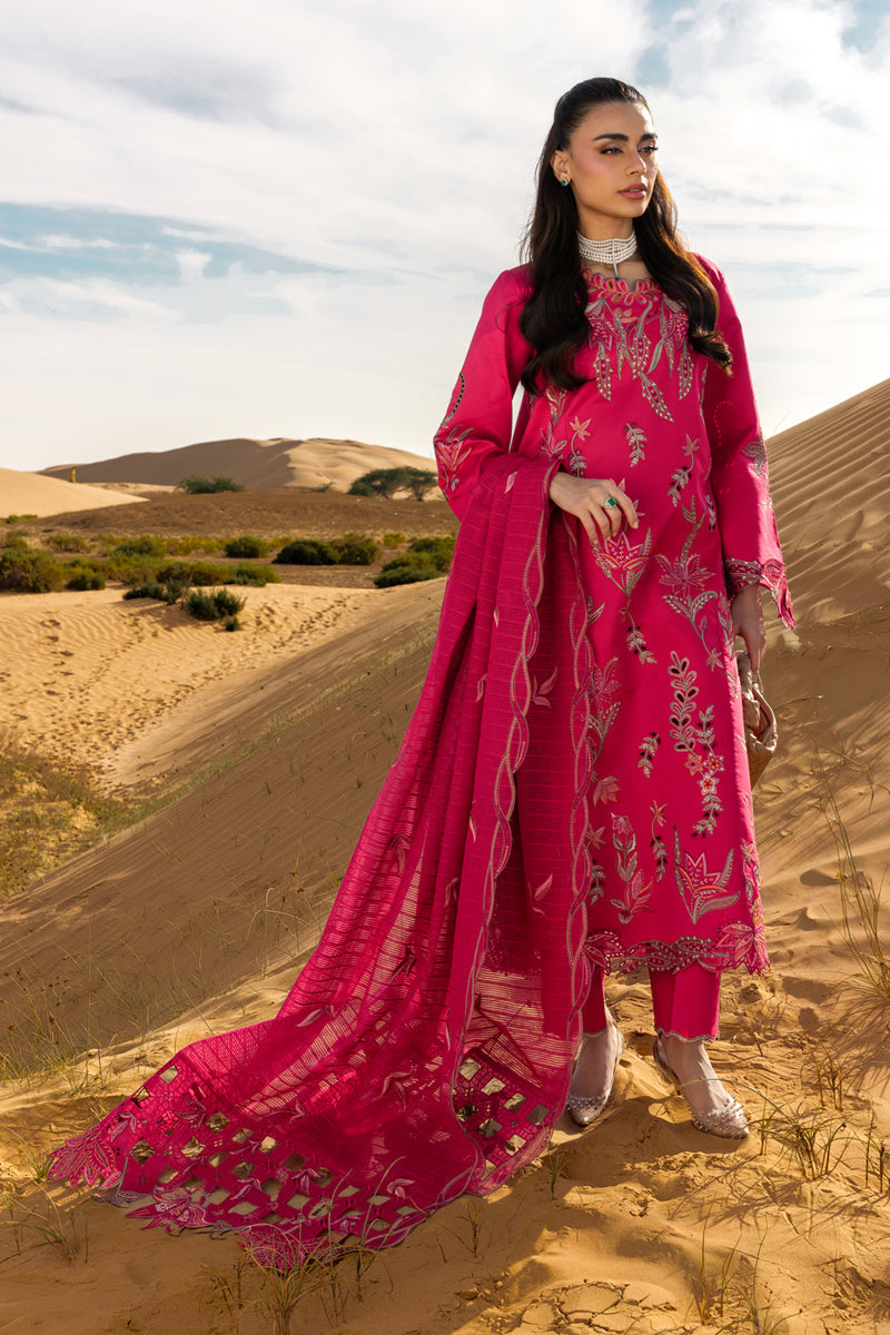Rang Rasiya Premium'26 D-09 Safa