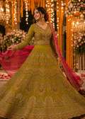 Noor-e-Olive Organza Set — 3